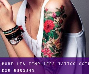 Bure-les-Templiers tattoo (Cote d'Or, Burgund)