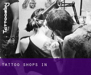 Tattoo Shops in 东海岛