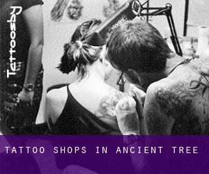 Tattoo Shops in Ancient Tree