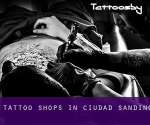 Tattoo Shops in Ciudad Sandino