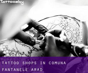 Tattoo Shops in Comuna Fântânele (Arad)