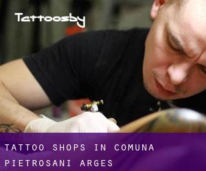 Tattoo Shops in Comuna Pietroşani (Argeş)